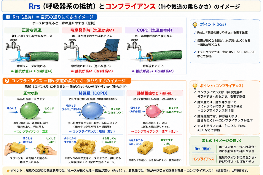 Rrs(呼吸器系の抵抗)とコンプライアンス(肺や気道の柔らかさ)のイメージ